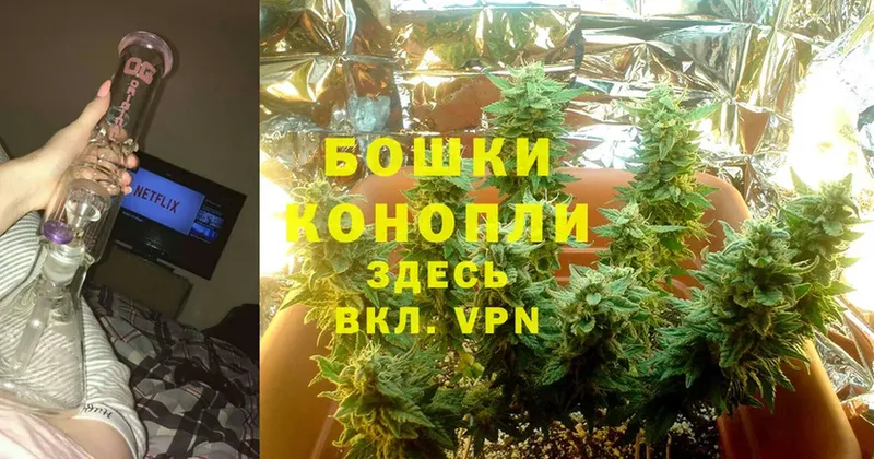 Шишки марихуана THC 21%  Зубцов 